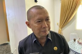 UMKM asal Tapin sulit tembus ritel modern karena kemasan