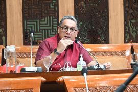 Komisi VII puji Pemprov Bali lindungi pariwisata dan lingkungan lewat larangan AMDK