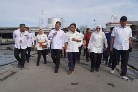 KKP kembangkan pelabuhan "eco fishing port" guna terapkan PIT