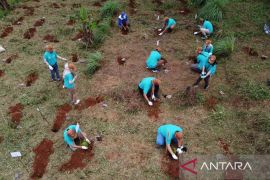 NEC Indonesia: Penanaman 6.250 pohon di Bogor hasilkan dampak signifikan