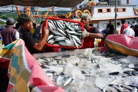 KKP perkuat Sulawesi Utara sebagai pusat hilirisasi perikanan