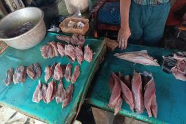 Dempo ikan asin di Bone jadi potensi ekonomi warga pesisir