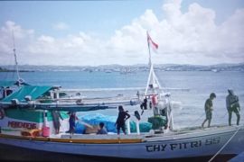 Nelayan Sulsel diizinkan berlayar tanpa Surat Perintah Berlayar, respon 328 kapal berhenti operasi