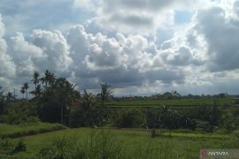 Kamis, BMKG prakirakan mayoritas wilayah berawan dan hujan ringan