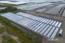 Rencana penghentian impor garam industri