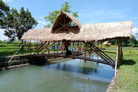 Kolam retensi di Giong Siu Mataram dioptimalkan guna cegah banjir