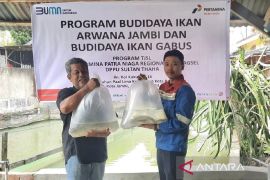 Komitmen  Pertamina dalam konservasi Arwana Green Pino di Jambi