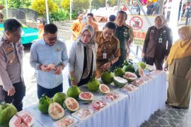 Pemkab selenggarakan Festival Pamelo 2025 guna promosikan jeruk khas Magetan