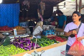 Harga bahan pokok di HST cenderung stabil usai lebaran