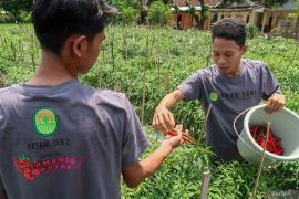 Petani milenial kembangkan potensi desa