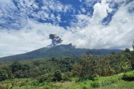 Gunung Marapi kembali erupsi pada Rabu siang, lontarkan abu vulkanik setinggi 800 meter