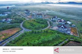 Dishut Kalsel kembangkan tanaman eucalyptus di area Forest City perkuat ekosistem hijau