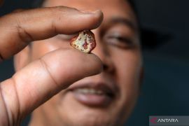 Emas Antam tambah melejit  jadi Rp1,980 juta/gram