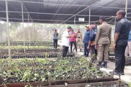 Bupati Yunus Wonda: Distrik Namblong miliki potensi vanili