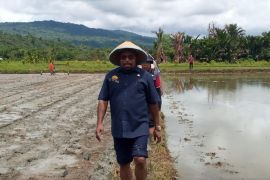 Lembah Grimenawa Jayapura jadi sentra pertanian