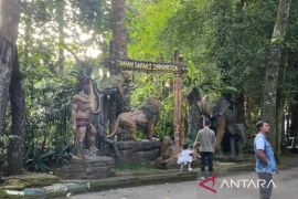 Taman Safari Indonesia tak ingin dikaitkan aduan eks pemain sirkus Oriental Circus Indonesia