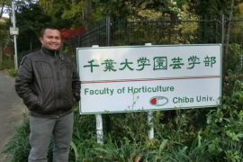 Perlunya Izin Pembangunan Taman