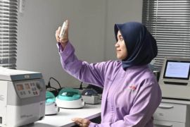 Riset dan pengembangan benih kunci keberhasilan pertanian perkotaan