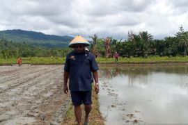 Pemkab Jayapura siap bangun irigasi aliri sawah Distrik Namblong