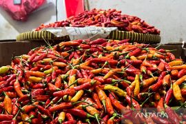 Harga pangan : Cabai rawit Rp82.000/kg, bawang merah Rp43.667/kg
