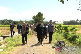 Pemkab Pasaman Barat siapkan tiga demplot tanaman padi