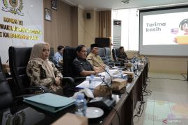 DPRD Kalsel soroti "energi hijau" dan sistem pengawasan terintegrasi