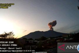 Gunung Marapi erupsi, semburan abu setinggi 1 km mengarah ke selatan