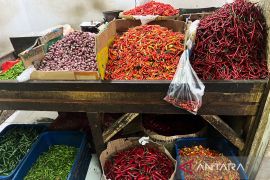 Harga pangan: Bawang merah Rp44.306/kg, cabai rawit merah Rp74.103/kg