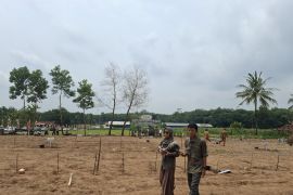 420 ha hutan produksi di Lampung diusulkan tanam padi gogo