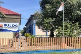 Bulog Pinrang serap 33 ribu ton gabah petani