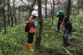 Harita Nickel  komitmen lindungi flora dan fauna di Pulau Obi