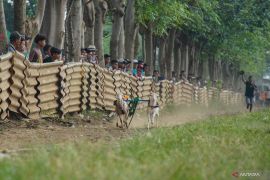 Karapan kambing meriahkan liburan di Probolinggo