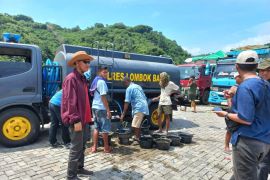 NTB kirim 8.000 ekor sapi ke Jabodetabek jelang Idul Adha 1446 H