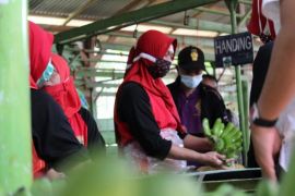 Pemkot Bandarlampung catat dua aduan PHK sejak Januari 2025