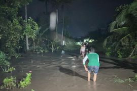 Sejumlah rumah di Lampung Selatan terdampak banjir akibat hujan deras