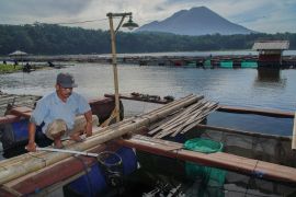 Budi daya ikan air tawar keramba di Ranu Klakah