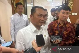 Istana tegaskan tak ada kerenggangan di Kabinet Merah Putih