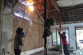 Damkar Tulungagung tangani ratusan aduan sarang tawon vespa