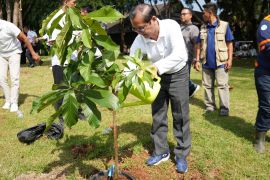 Umat Buddha gelar meditasi dan tanam pohon bodhi jelang Waisak
