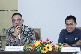 PLN-Pemkab Barito Selatan perkuat sinergi terangi desa