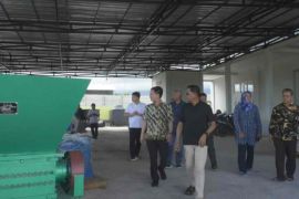 Bupati Haerul harap pabrik Porang di Lombok Timur segera beroperasi