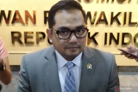 Komisi II DPR usul MK diskualifikasi calon jika ada pelanggaran PSU