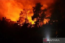 Korsel kerahkan ratusan petugas atasi kebakaran hutan