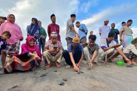 Pegiat konservasi penyu di Manggarai Barat amankan ratusan telur dari predator