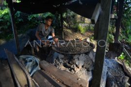 Pengolahan kacang rendang Pasaman Page 1 Small