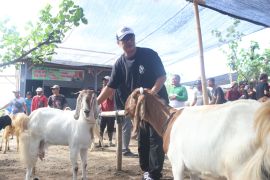 Warga terbantu dengan dibukanya pasar hewan di Sumberjo Kediri