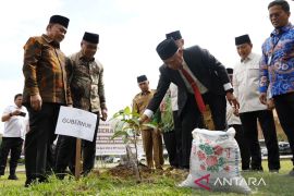 Wagub Sumut ikuti Gerakan Penanaman Sejuta Pohon Matoa