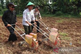 Pemkab Kuningan ubah lahan tidur menjadi demplot jagung hibrida