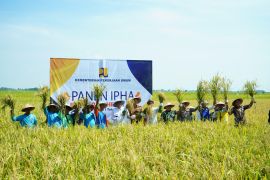 Tingkatkan produksi padi, Menteri PU dorong perluasan metode IPHA di Indramayu