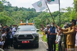 Menhut lepas liarkan 6 orangutan dari BOSF